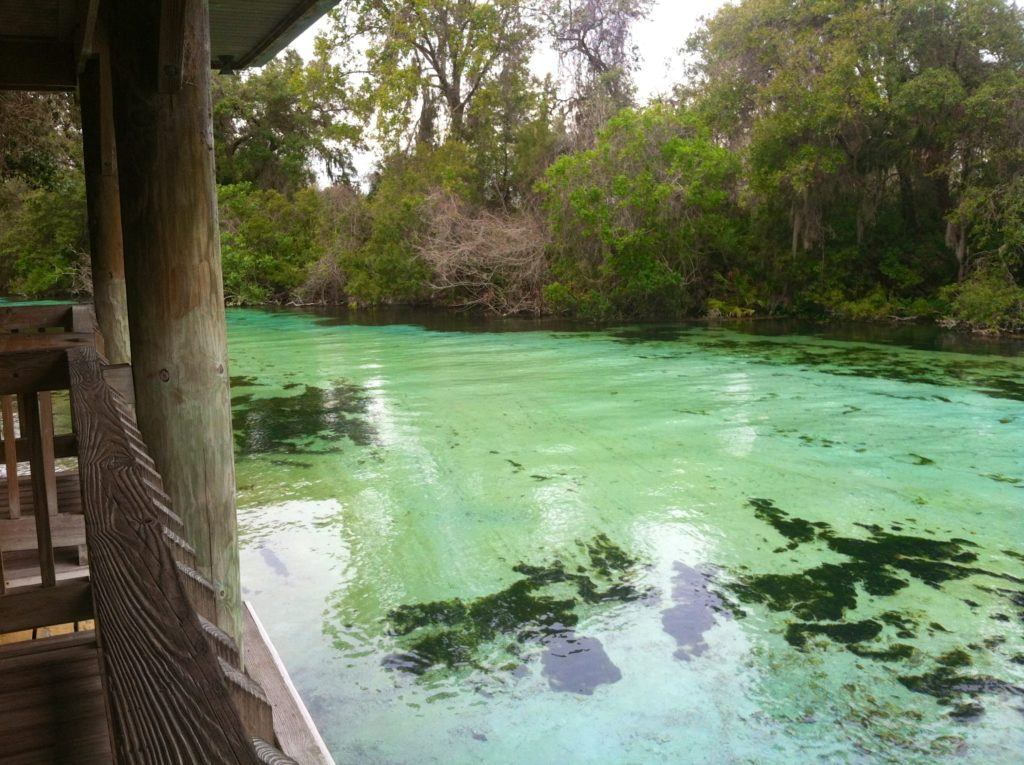 Weeki Wachee Spring