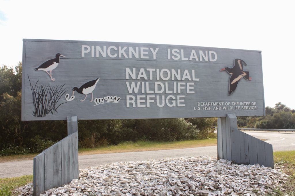 Pinckney Island