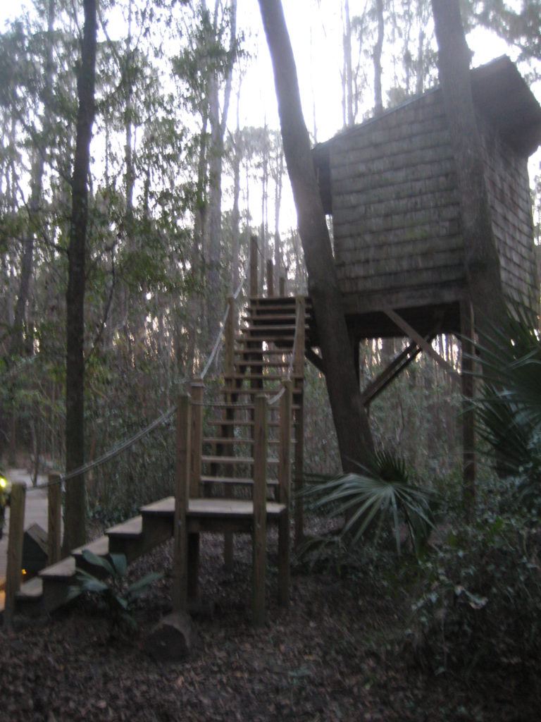 Hostel in the Forest