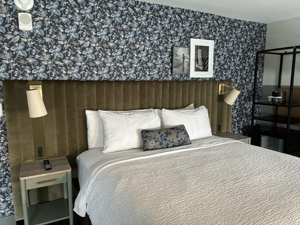 Guest room at The Darwin